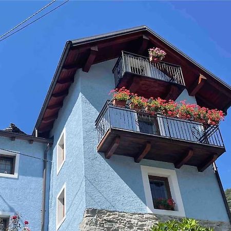 Casa Del Cios Calda E Intima Casetta Immersa Nel Verde Delle Montagne Alpe Basciumo Екстер'єр фото