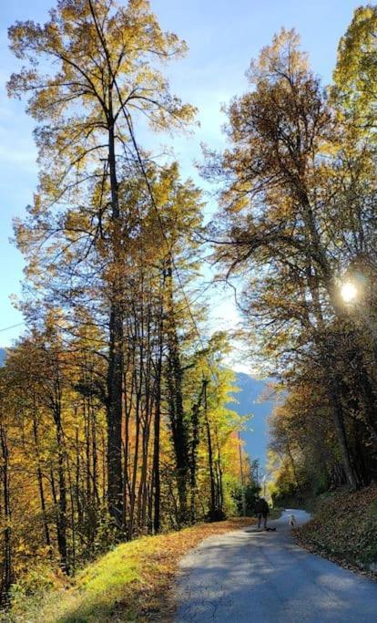 Casa Del Cios Calda E Intima Casetta Immersa Nel Verde Delle Montagne Alpe Basciumo Екстер'єр фото