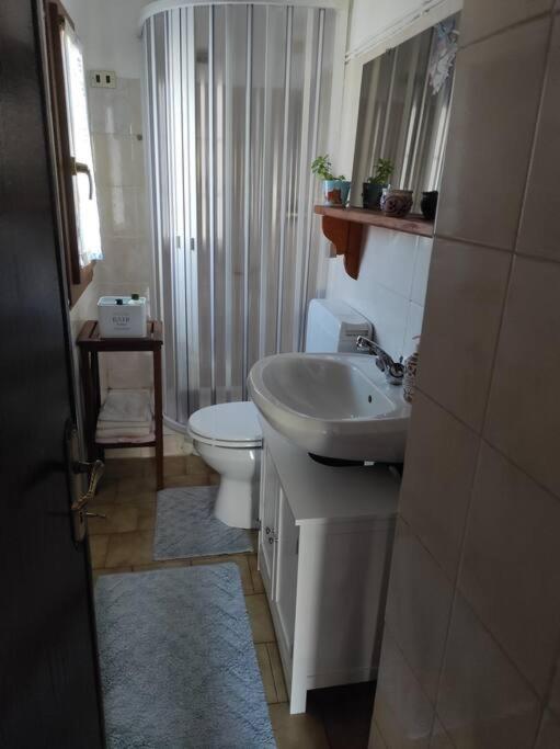 Casa Del Cios Calda E Intima Casetta Immersa Nel Verde Delle Montagne Alpe Basciumo Екстер'єр фото