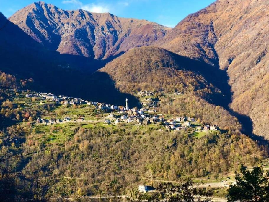 Casa Del Cios Calda E Intima Casetta Immersa Nel Verde Delle Montagne Alpe Basciumo Екстер'єр фото