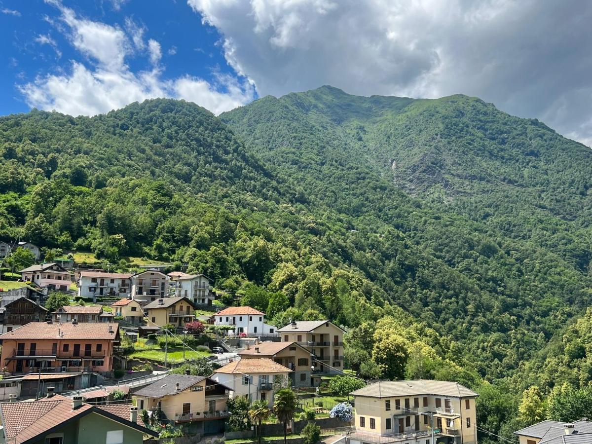 Casa Del Cios Calda E Intima Casetta Immersa Nel Verde Delle Montagne Alpe Basciumo Екстер'єр фото